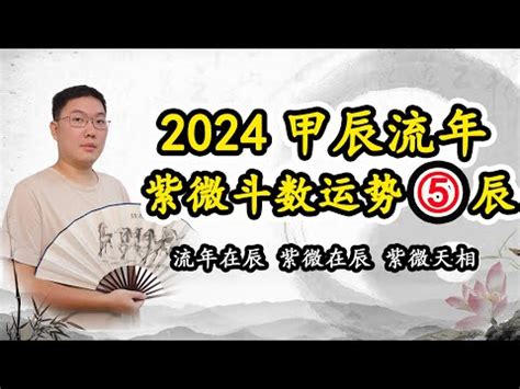 運勢分析|免費紫微運勢曲線算命